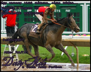 //santa-anita.gportal.hu/portal/santa-anita/image/gallery/1243946565_67.jpg